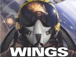 Wings over Vietnam (PC)