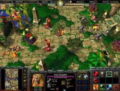 Warcraft III: Reign of Chaos (MacPC CD)